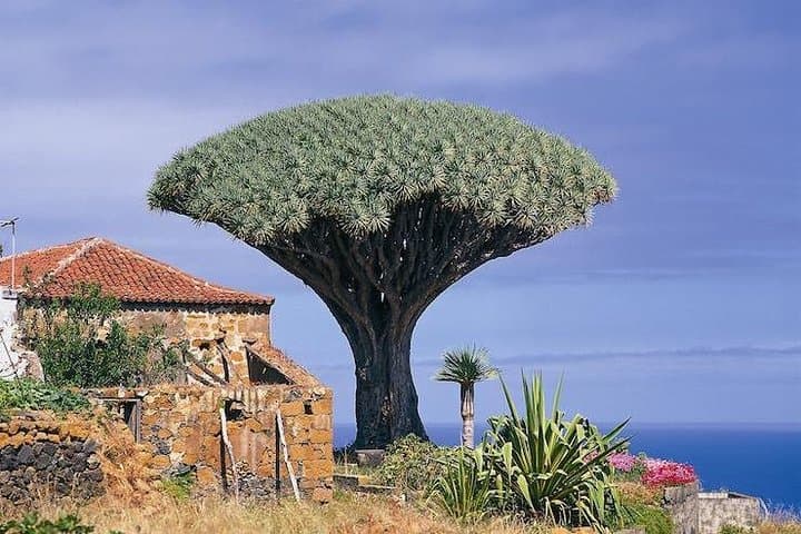 Masca - lugar escondido de Tenerife - 3