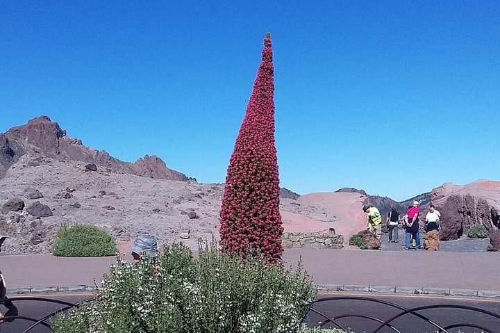 Masca - lugar escondido de Tenerife - 6