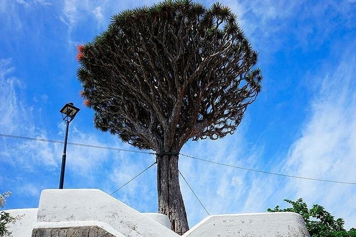 Los gigantes - 4