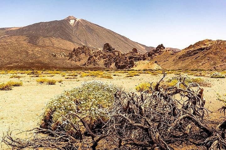Masca - 5