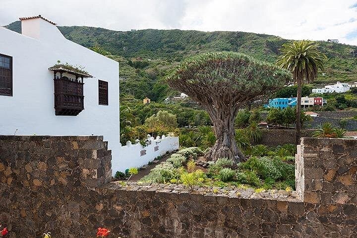 Masca - 7