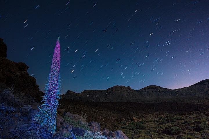 El Teide bajo las estrellas. - 6