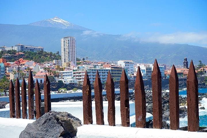 Visita Puerto de la Cruz en autocar climatizado - 4