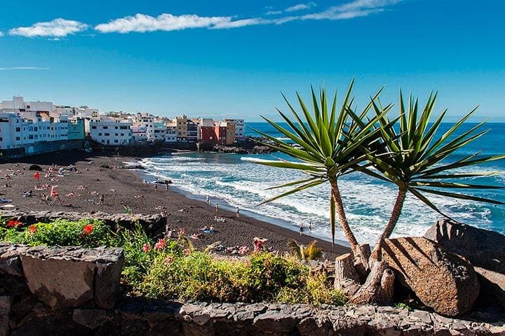 Visita Puerto de la Cruz en autocar climatizado - 1