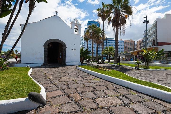 Visita Puerto de la Cruz en autocar climatizado - 6
