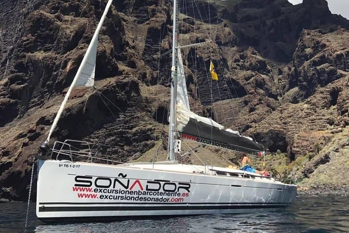 3 Horas Todo incluido en barco a vela para ver ballenas y delfines - 1