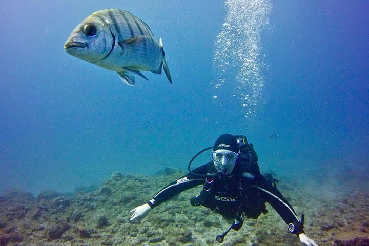 DESCUBRE EL BUCEO - Primer paso para su certificación - 4