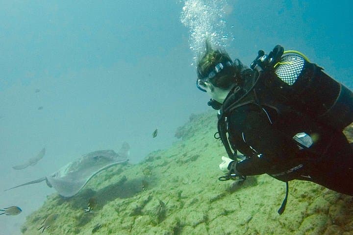 PRUEBA EL BUCEO con un instructor dedicado - 2