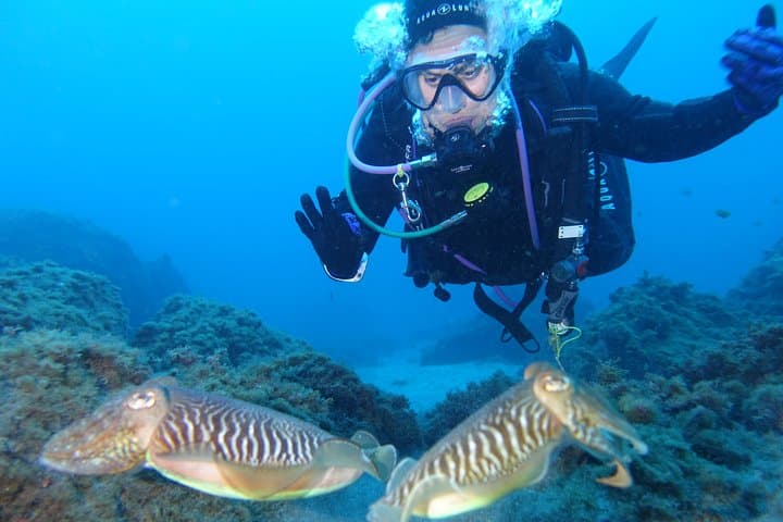 Buceo guiado en Tenerife (para buceadores certificados) - 8