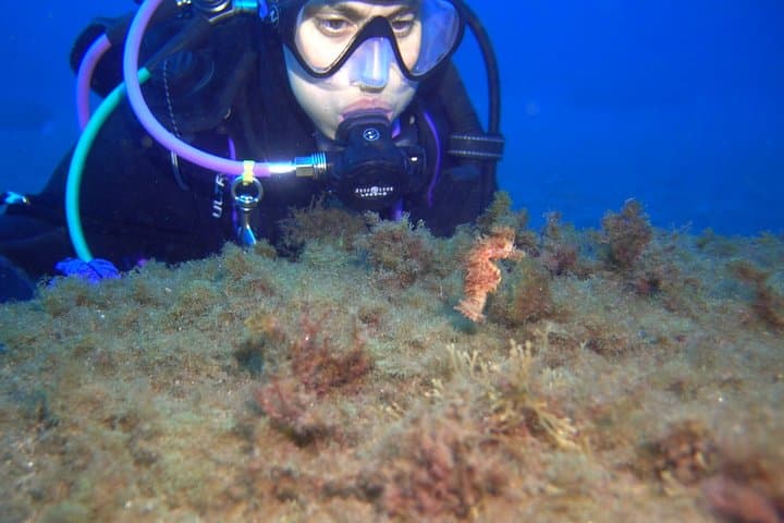 Estudiante de buceo en aguas abiertas en Tenerife - 8