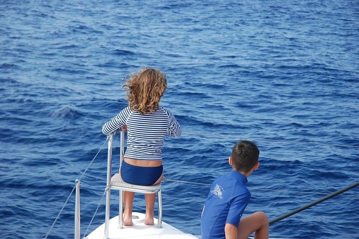 Ballena piloto tenerife - 4
