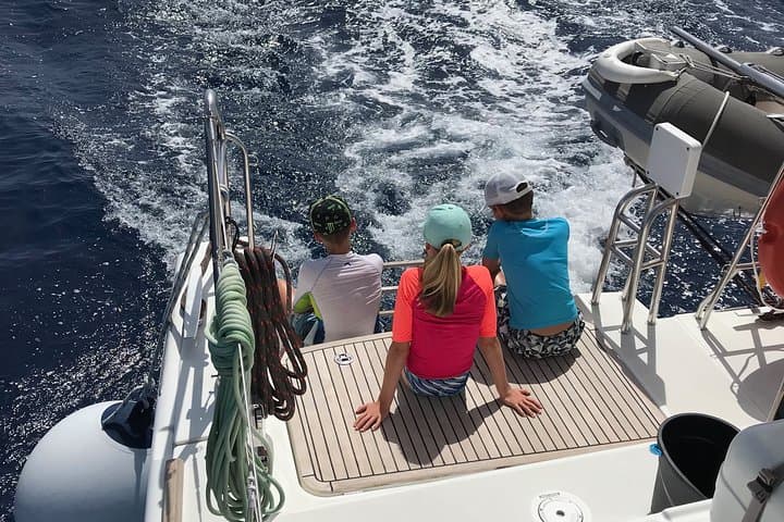 Ballena piloto tenerife - 7