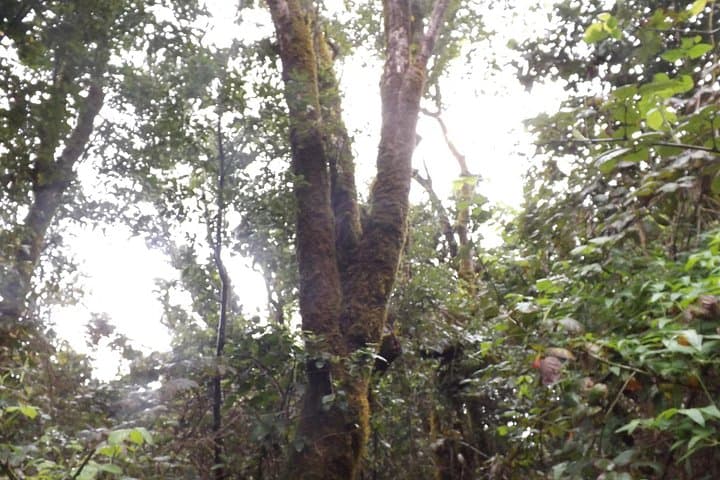 Anaga - 3