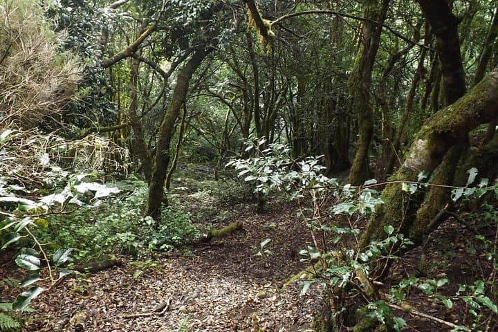 Anaga - 8