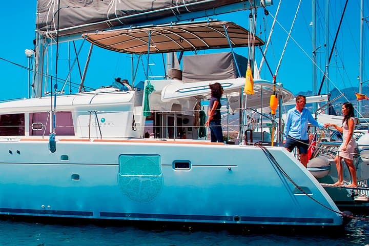 Ballena piloto tenerife - 2