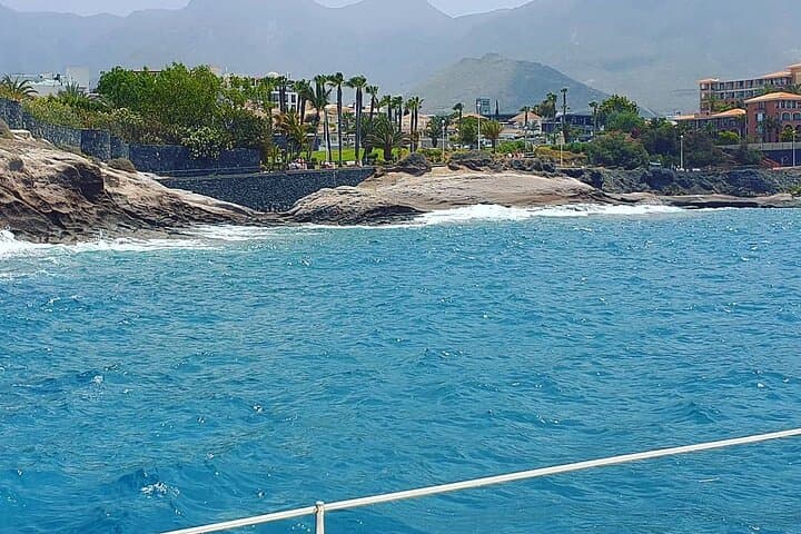 TOUR EN CRUCERO POR EL OCÉANO EN CATAMARÁN, ¡Alimentos y bebidas incluidos! - 8