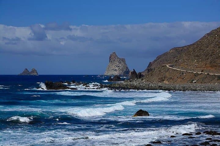 Tour privado de 4 horas por Santa Cruz de Tenerife con recogida en el hotel o puerto de cruceros - 4
