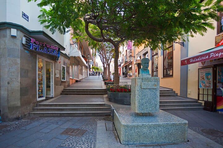 Tour privado de 6 horas por La Orotava + Puerto de La Cruz con recogida en el hotel - 6