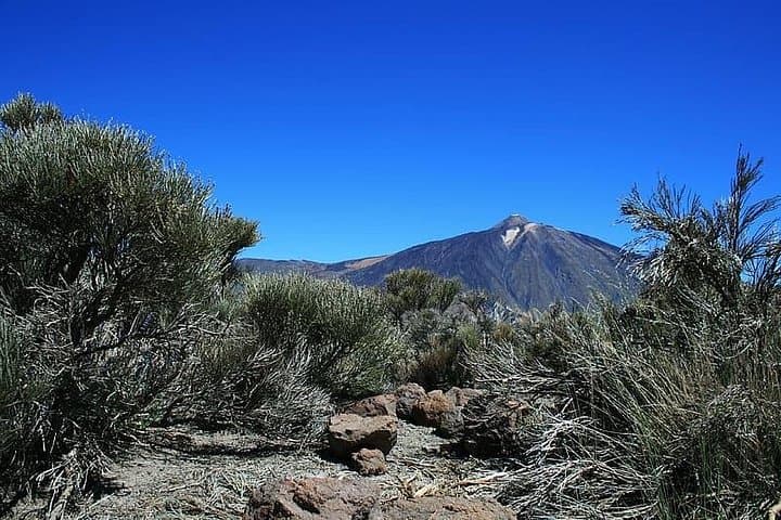 Excursión privada de un día completo a la cima del Teide: vaya de excursión y regrese en teleférico - 7