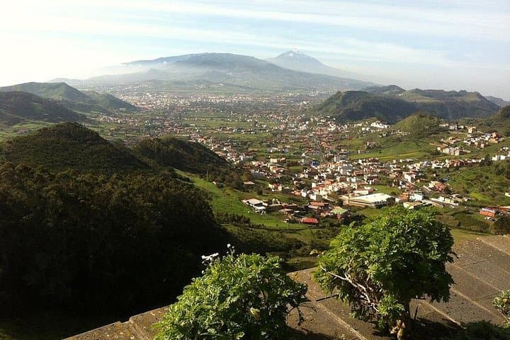 Excursión privada de día completo al patrimonio de la UNESCO: La Laguna y El Teide - 6
