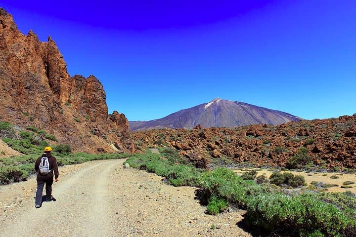 Excursión privada de un día completo a la cima del Teide: vaya de excursión y regrese en teleférico - 1