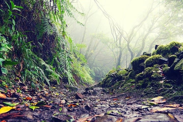 Tour privado de 6 horas por La Laguna y la Reserva de la Biosfera de Anaga con recogida en el hotel - 2