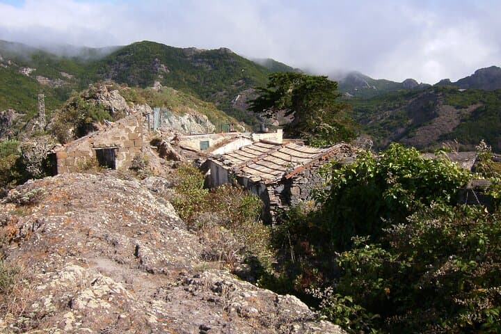 Tour privado de 6 horas por La Laguna y la Reserva de la Biosfera de Anaga con recogida en el hotel - 3