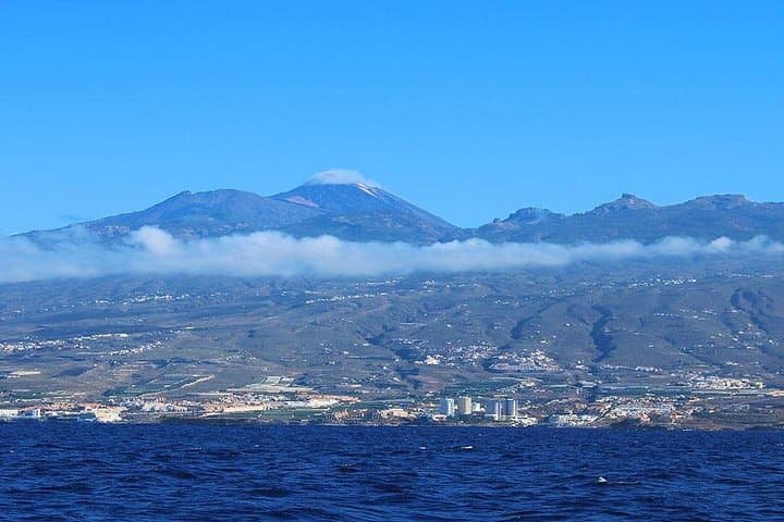 Avistamiento de ballenas en Tenerife. Barco White Tenerife. - 8