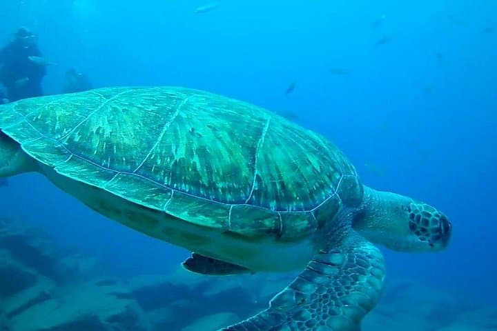 Buceo para principiantes - 6