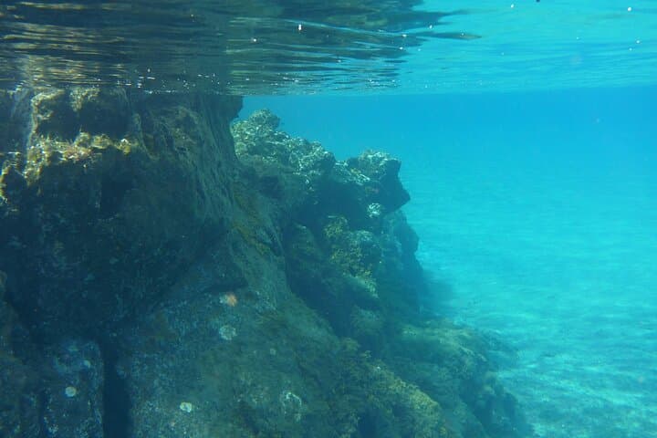 Paseo de Barco para visitar Lenguas de Lava Marinas - 5