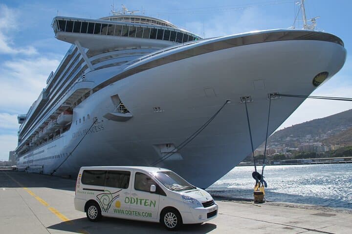 Tour privado por el Parque Nacional del Teide y Tenerife Norte - 5