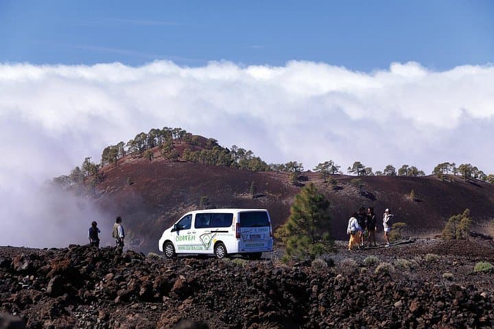 Conozca el Parque Nacional del Teide y el sur de Tenerife en tour privado - 4