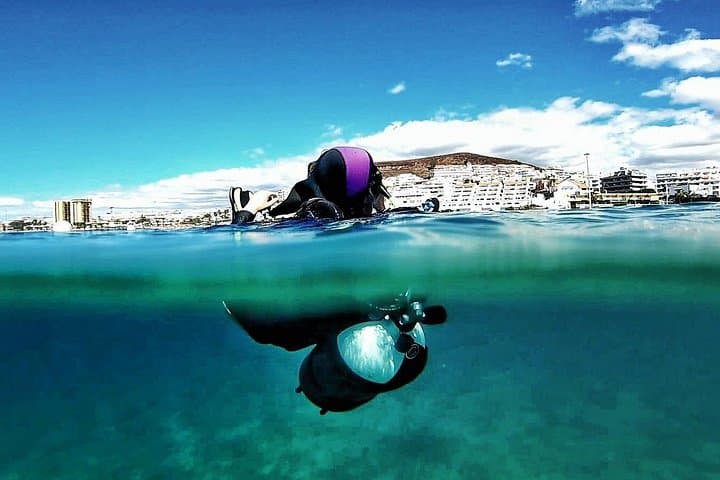 Descubre el mundo submarino FOTO Y VIDEO gratis - 4