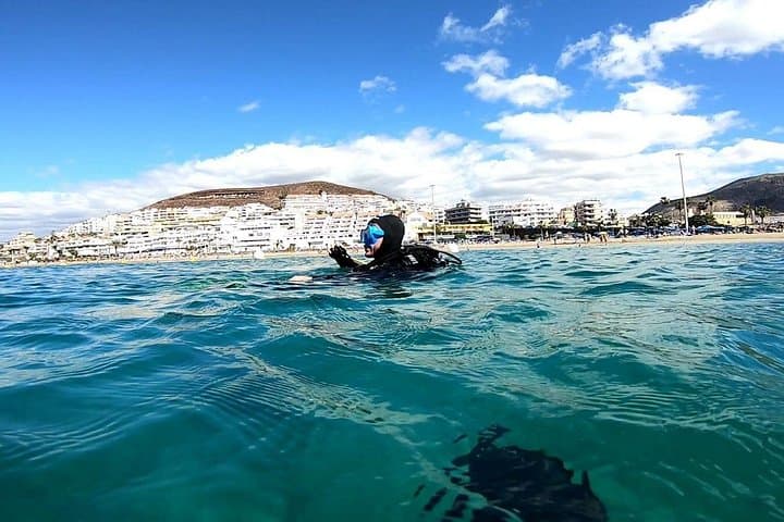 Descubre el mundo submarino FOTO Y VIDEO gratis - 5