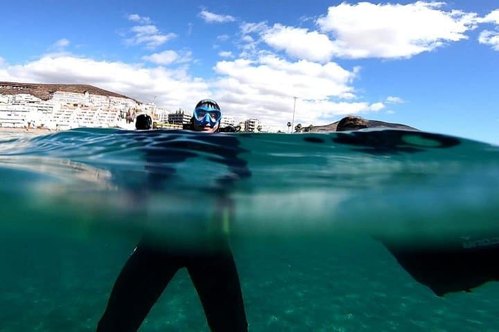 Descubre el mundo submarino FOTO Y VIDEO gratis - 6