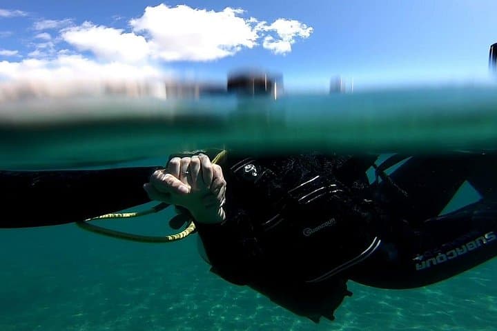 Descubre el mundo submarino FOTO Y VIDEO gratis - 8
