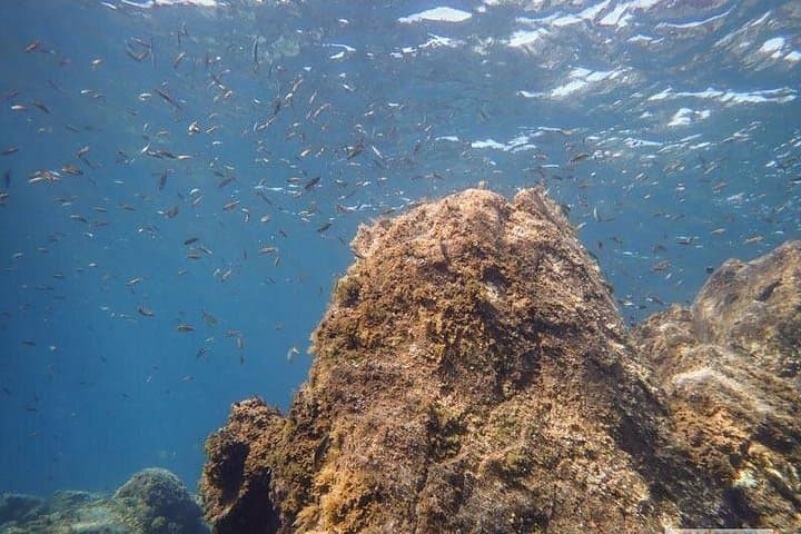 SSI Open Water, Tenerife Sur - 5