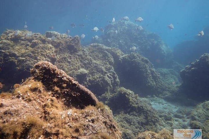 SSI Open Water, Tenerife Sur - 6
