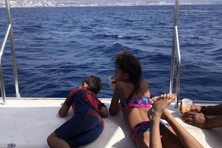 Ballenas y delfines - 5