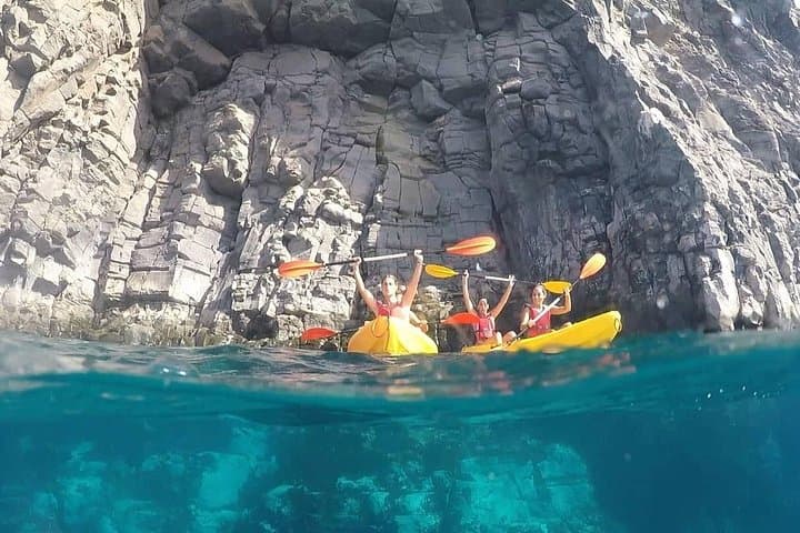 Safari en kayak con avistamiento de delfines y tortugas desde Los Cristianos - 1