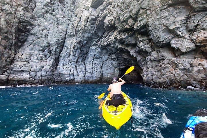 Safari en kayak con avistamiento de delfines y tortugas desde Los Cristianos - 3