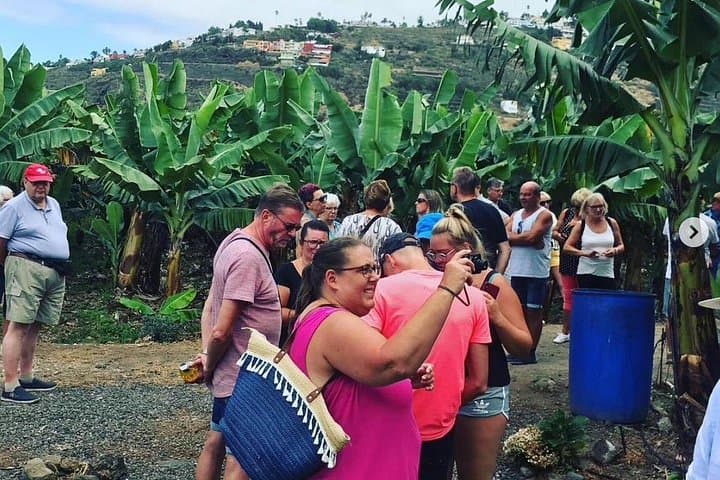Grupo de turistas - 4