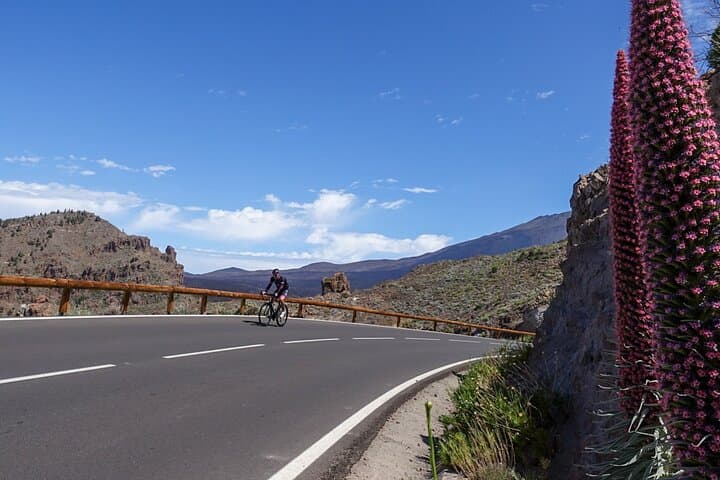 Ruta al Teide - 5