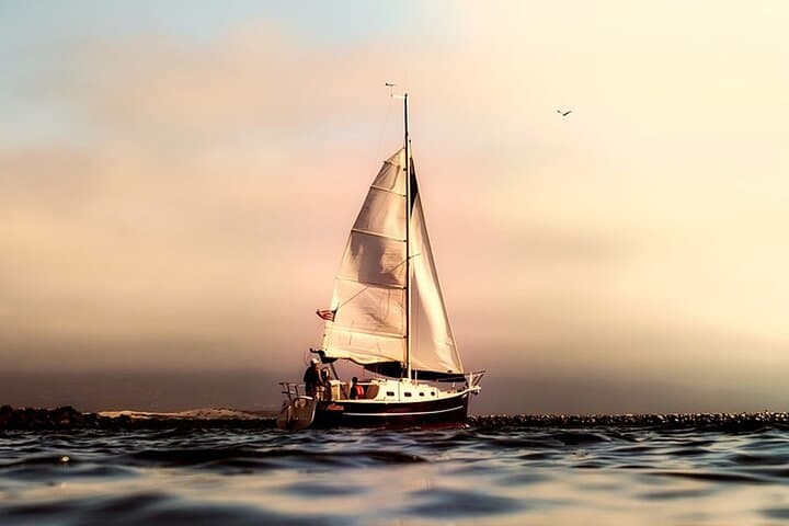 Whale & Dolphin Watching Boat Trip in Tenerife On a Sailing Boat (3 Hr) - 3