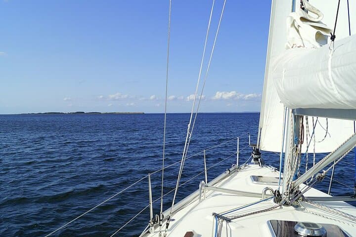 Whale & Dolphin Watching Boat Trip in Tenerife On a Sailing Boat (3 Hr) - 4