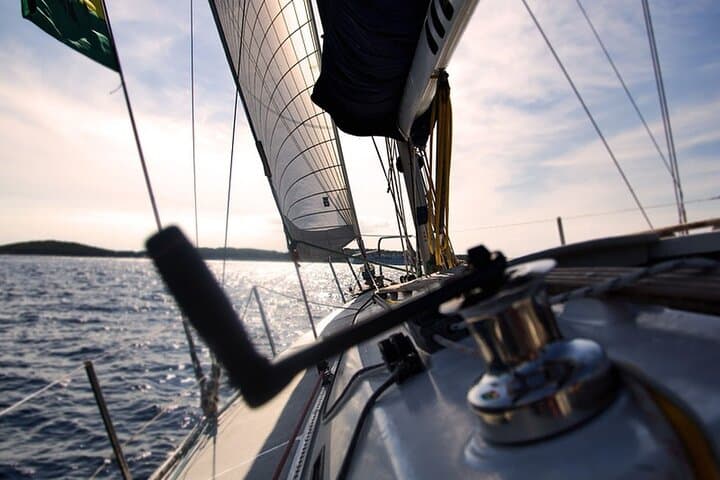Whale & Dolphin Watching Boat Trip in Tenerife On a Sailing Boat (3 Hr) - 5