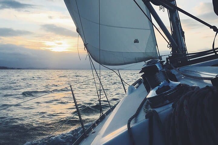 Whale & Dolphin Watching Boat Trip in Tenerife On a Sailing Boat (3 Hr) - 6