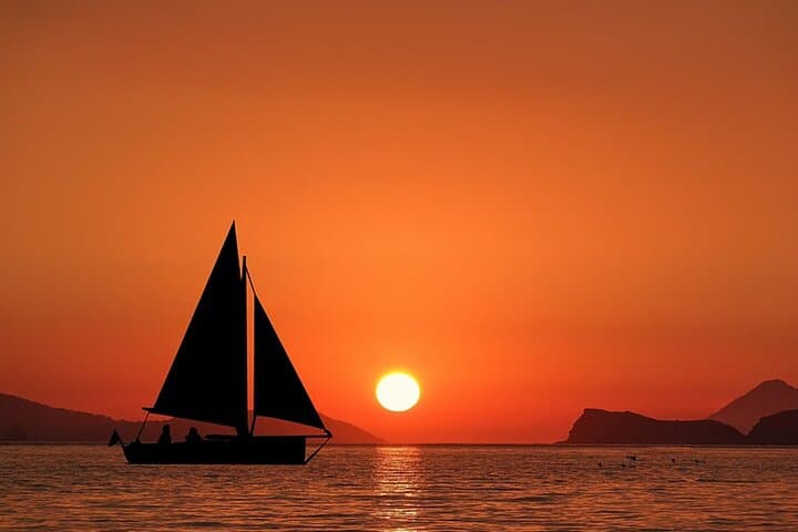 Whale & Dolphin Watching Boat Trip in Tenerife On a Sailing Boat (3 Hr) - 7