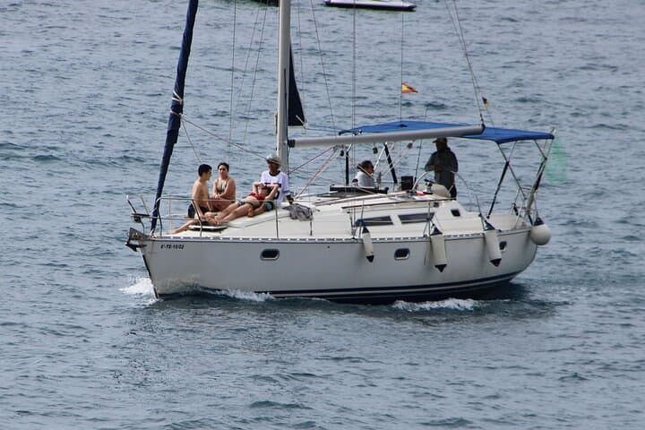 Whale & Dolphin Watching Boat Trip in Tenerife On a Sailing Boat (3 Hr) - 8