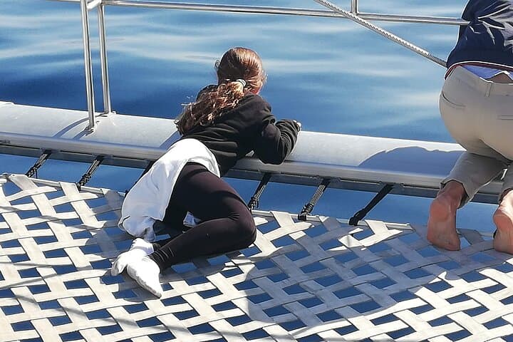 Whale & Dolphin Watching With Mustcat Virgin Coast Trip On a Large Catamaran - 7